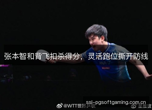 张本智和背飞扣杀得分,灵活跑位撕开防线 张本智和背飞扣杀得分,灵活跑位撕开防线